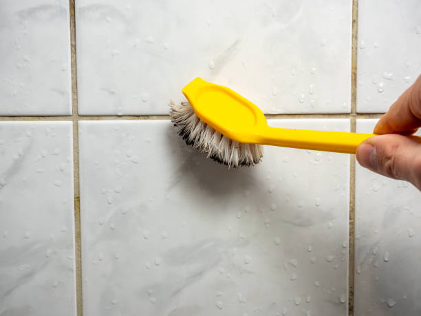 Best Black Mold Removal  in Mount Airy, MD