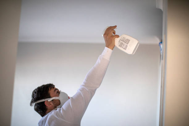 Best Affordable Mold Removal  in Mount Airy, MD